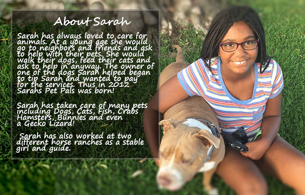 Sarah's pet care store services